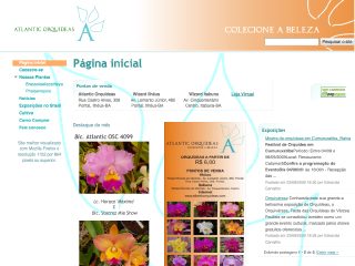 Thumbnail do site Atlantic Orquídeas