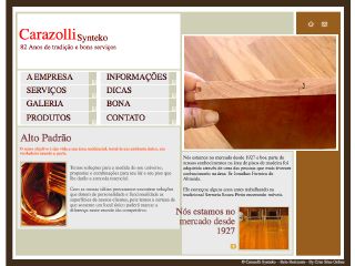 Thumbnail do site Raspadora e aplicadora Carazolli Synteko
