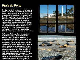 Thumbnail do site Praia do Forte .org