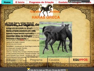 Thumbnail do site Haras Greca - Cavalo rabe