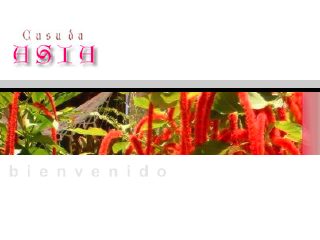 Thumbnail do site Casa da Ásia