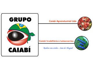 Thumbnail do site Caiabi Agroindustrial