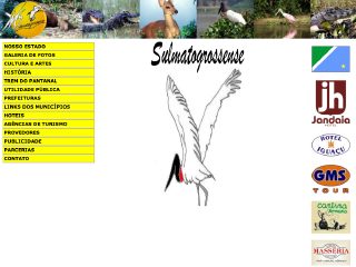 Thumbnail do site Sulmatogrossense.com.br