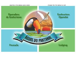 Thumbnail do site guas do Pantanal Tour