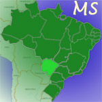 Mato-Grosso.net